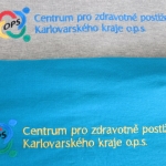 texty, iniciály, motta vysivka-text-prosnadnejsicestu2