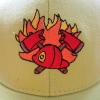 2014-hasici-010